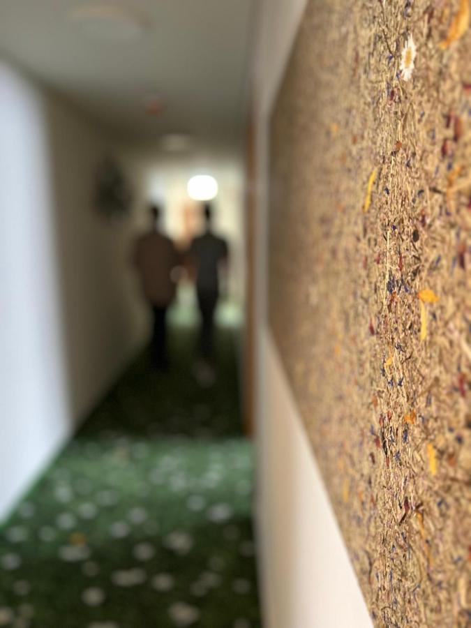 Pension Schwalbennest Bosleben-Wullersleben Buitenkant foto